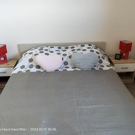Apartment Einliegerwohnung Hagenthal-le-Haut Eksteriør billede