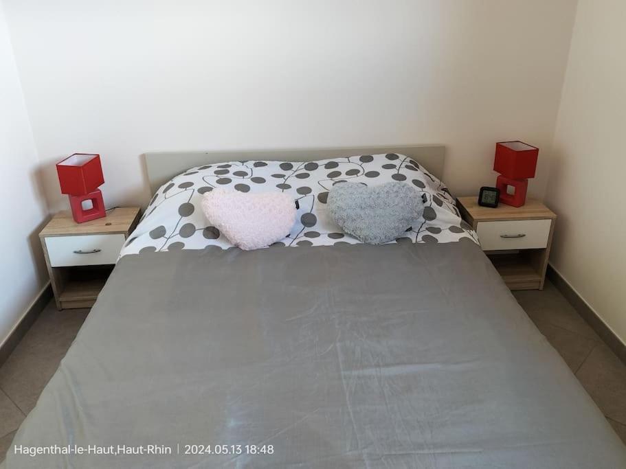 Apartment Einliegerwohnung Hagenthal-le-Haut Eksteriør billede