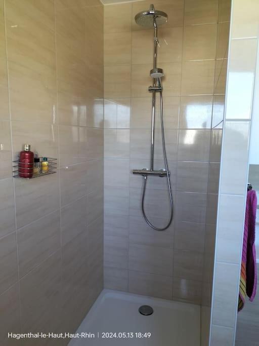 Apartment Einliegerwohnung Hagenthal-le-Haut Eksteriør billede